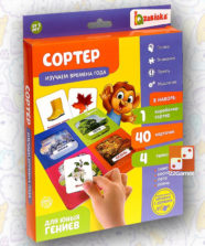 Сортер «Изучаем времена года» с карточками Домана