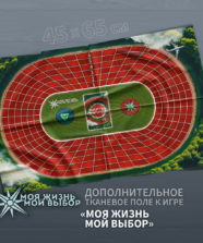 Дополнительное поле к игре «Моя жизнь. Мой выбор» (доп)