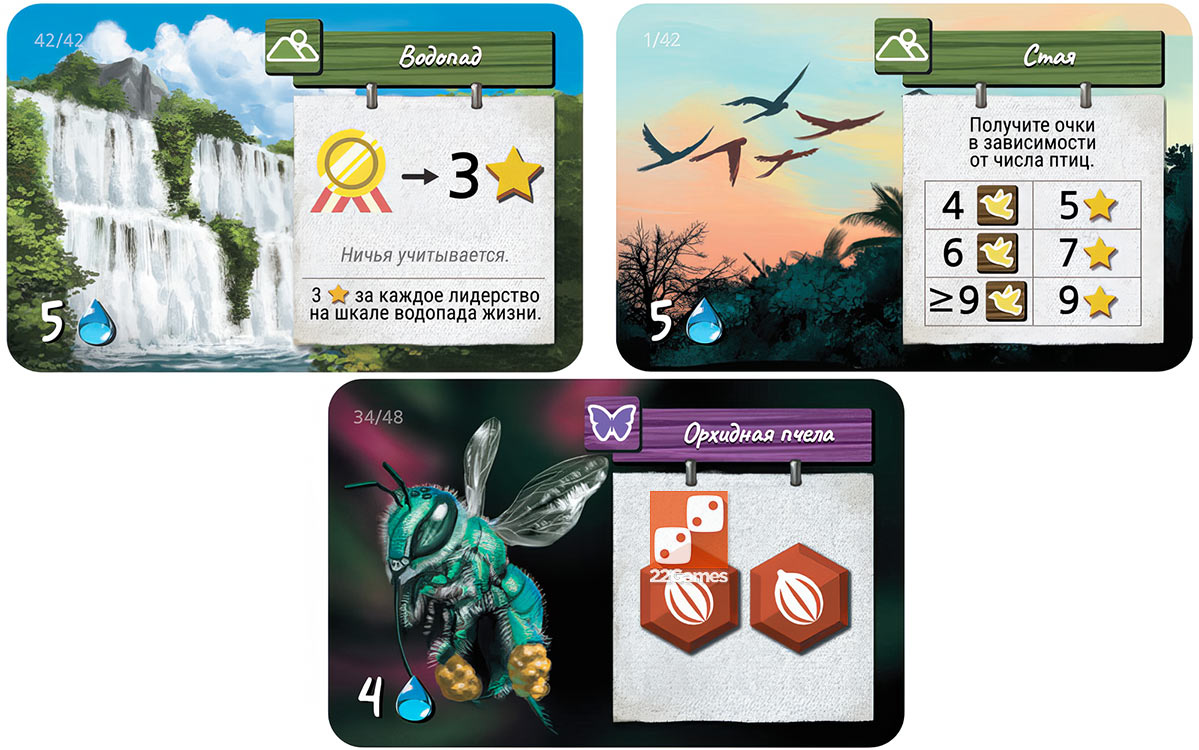 Дикая природа Амазонии