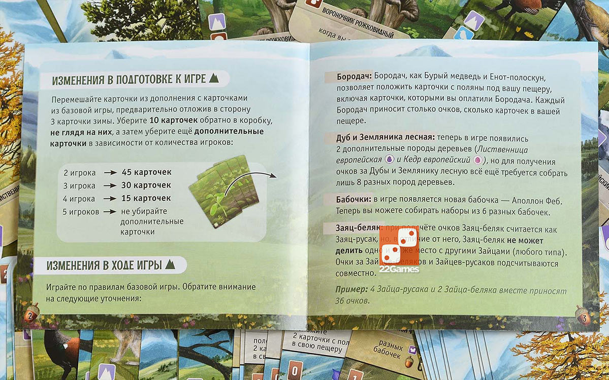 Смешанный лес: Альпы (доп) – Для взрослых, Для детей, Для любой компании Смешанный лес: Альпы (доп)