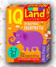 IQ Многоразовые карточки с маркером. Загадочные лабиринты