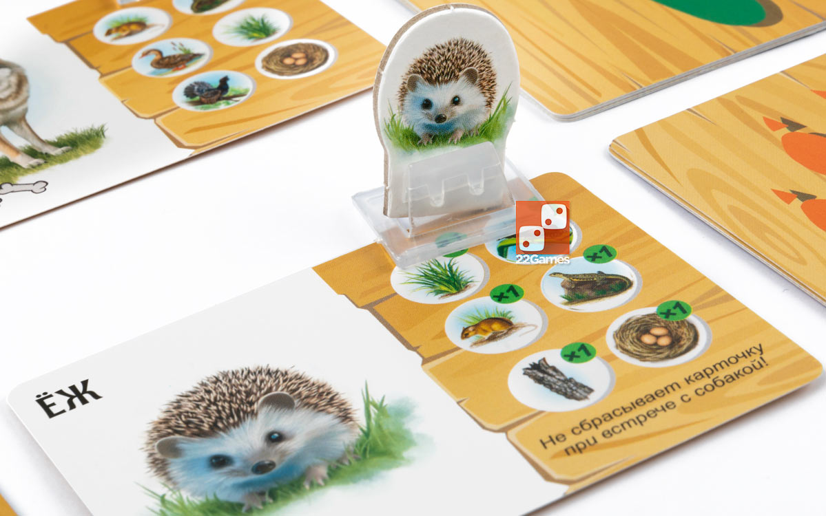 Лесные истории – Для детей, Для любой компании Лесные истории