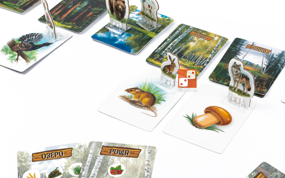 Лесные истории – Для детей, Для любой компании Лесные истории