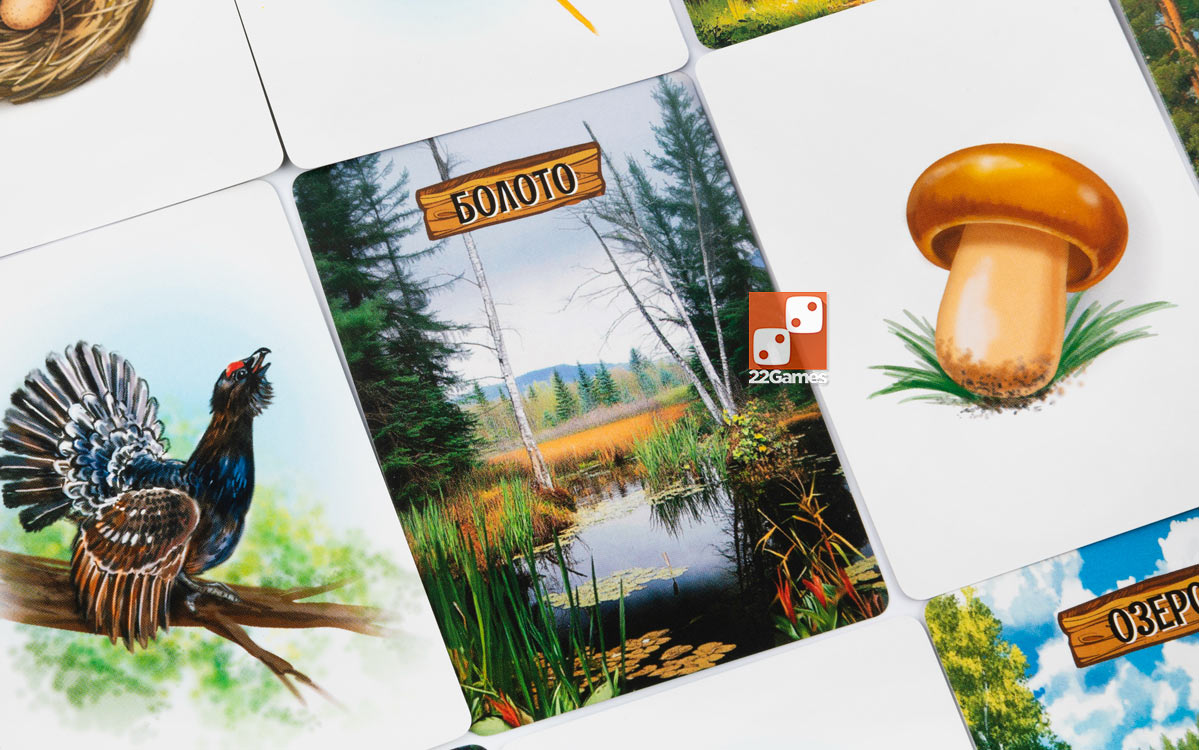 Лесные истории – Для детей, Для любой компании Лесные истории